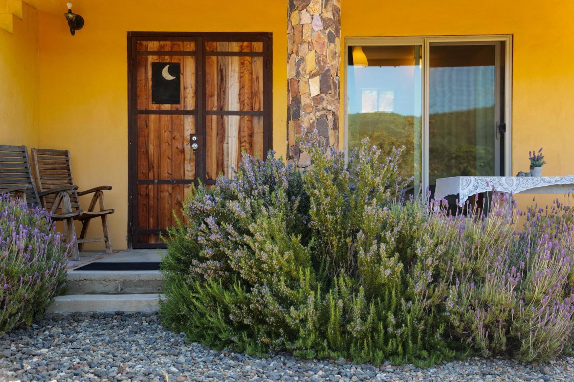 Quinta Estrella Bed & Breakfast Valle de Guadalupe Ngoại thất bức ảnh